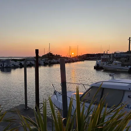 Papaya Andernos-les-Bains